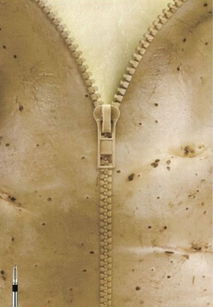 10組畫面誘人的美食創意海報